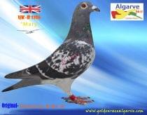 UK-R 1106